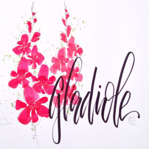 Gladiole