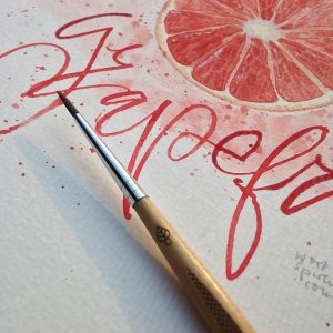 Grapefruit – Detail