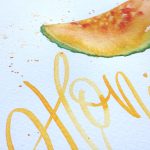 Honigmelone – Details