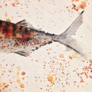 Schwanz-Detail vom kleinen Fisch