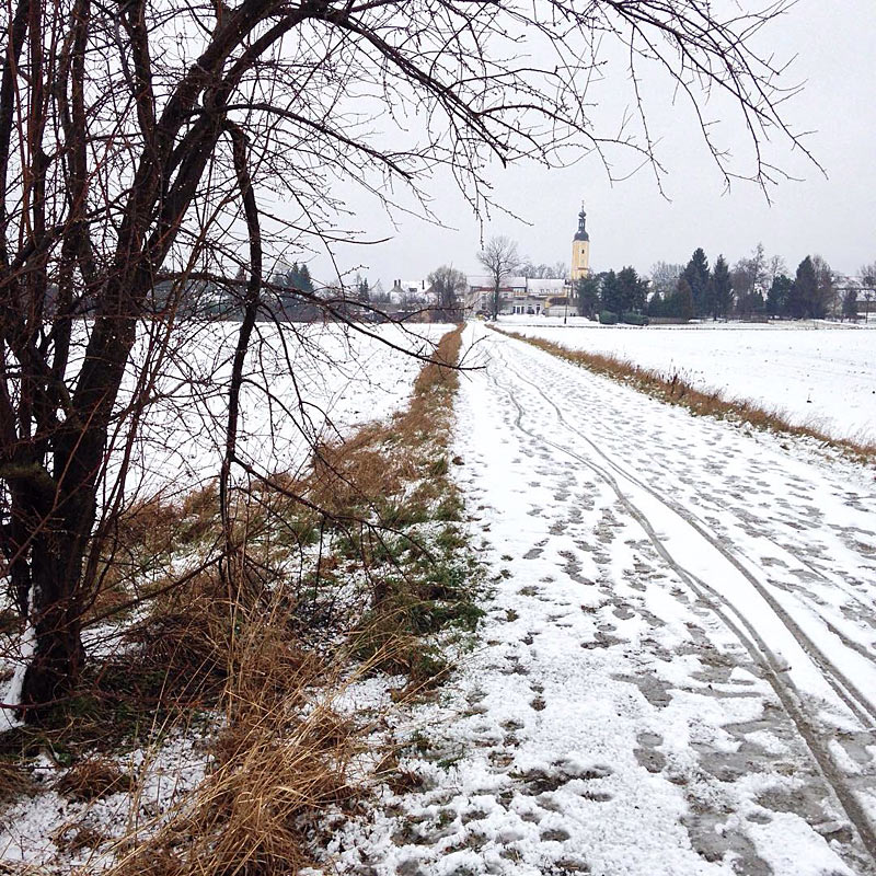 Schnee & Spuren am Mittelweg