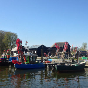 Foto: Fischerboote im Hafen Neuendorf, Ueckermünde